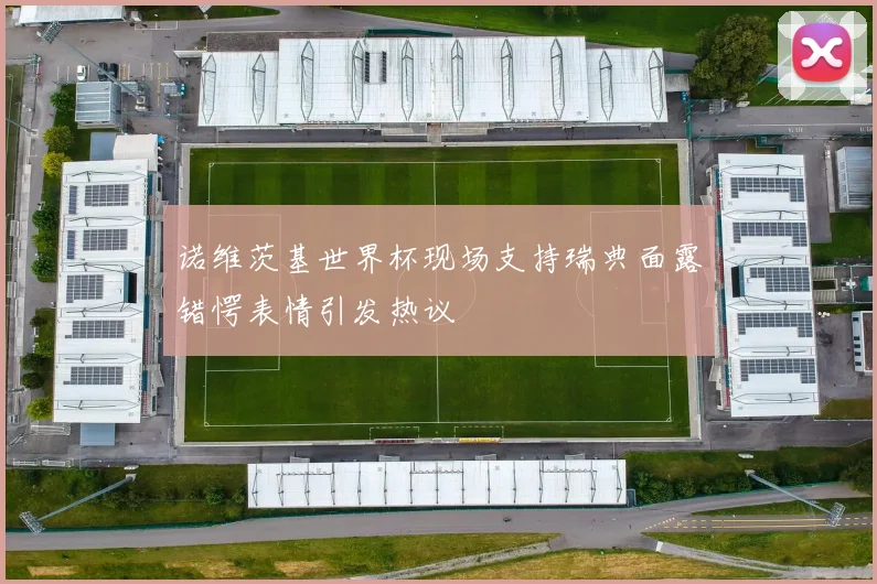 诺维茨基世界杯现场支持瑞典面露错愕表情引发热议